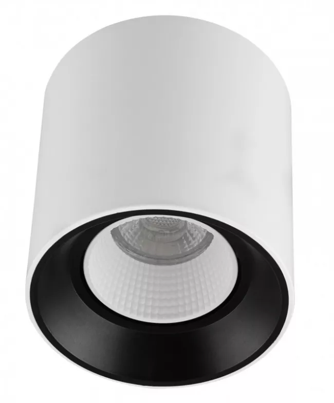Накладной светильник Denkirs DK3090-WB+WH (серия PRO) Накладной светильник Denkirs DK3090-WB+WH (серия PRO)