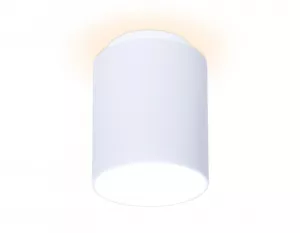 Накладной светильник Ambrella Light TN260