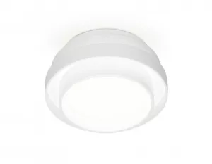 Накладной светильник Ambrella Light TN601