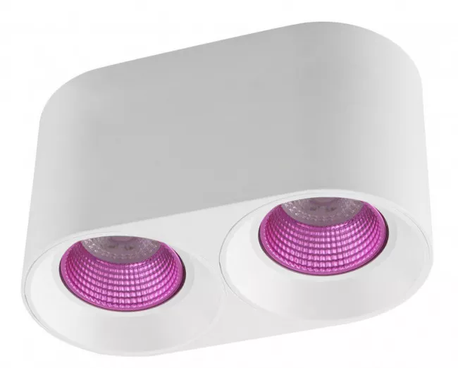 Накладной светильник Denkirs DK3096-WH+PI (серия AFF) Накладной светильник Denkirs DK3096-WH+PI (серия AFF)
